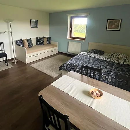 Guest house Bez Modreho Pava 3*